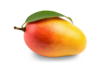 Kesar Mango