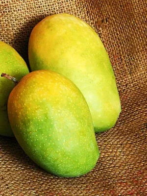 kesar-mango